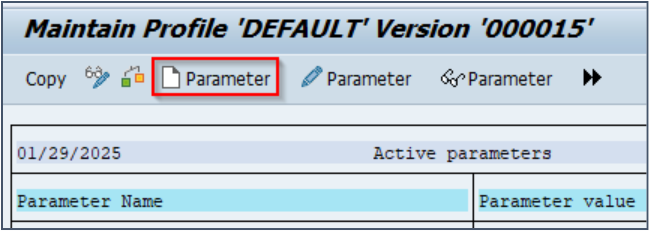 RZ10 Maintain Profile