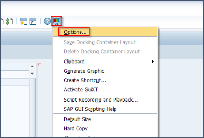 SAP GUI Options